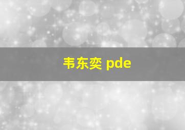 韦东奕 pde